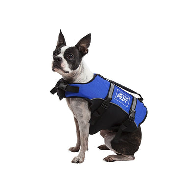 Small dog wearing a blue jet pilot dog personal flotation device
