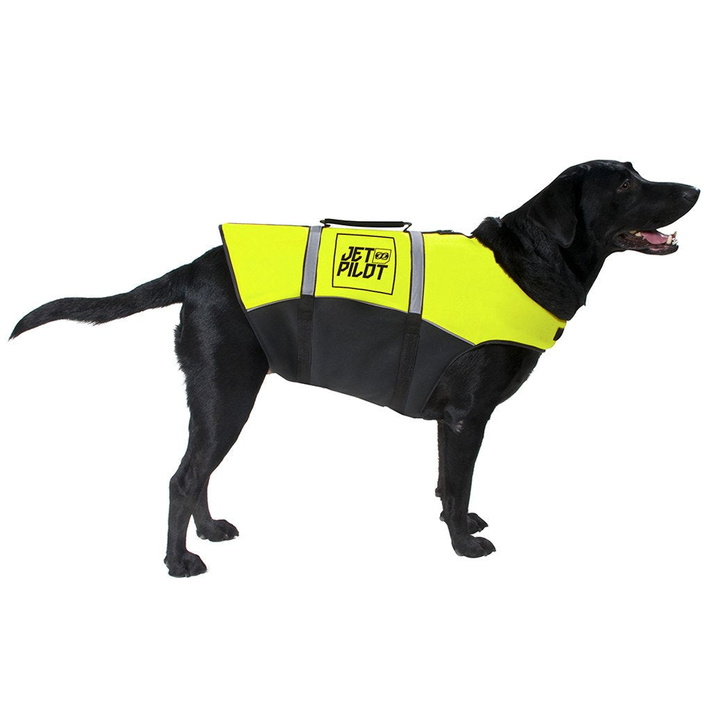 large dog wearing a yellow jet pilot dog personal flotation device